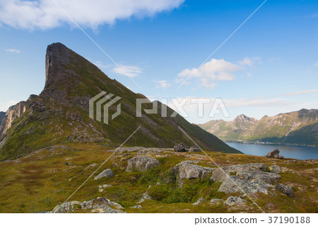 View on  Segla mountain at sunset, Norway. 37190188