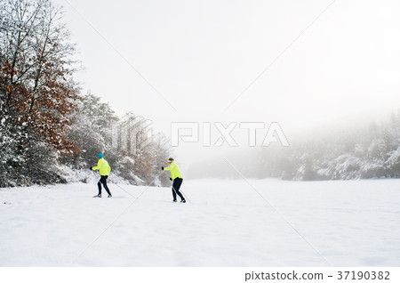 Senior couple cross-country skiing. 37190382