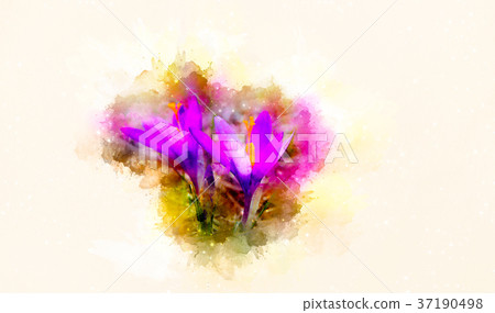 Spring flowers, saffron and softly blurred 37190498