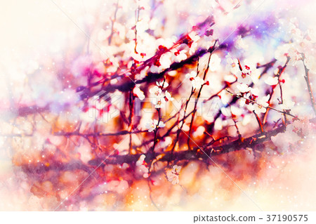 Spring flowers, Spring blossom background and Spring flowers, Spring blossom background and 37190575