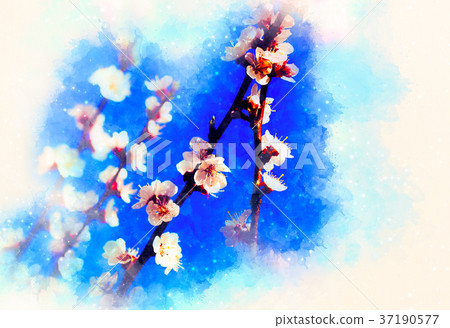 Spring flowers, Spring blossom background and Spring flowers, Spring blossom background and 37190577