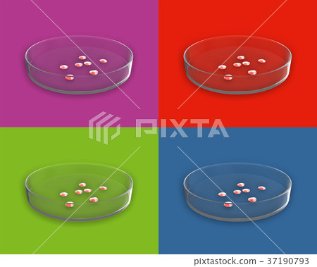 Petri Dish with Bacteria 37190793