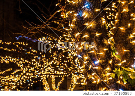 illumination 37190893