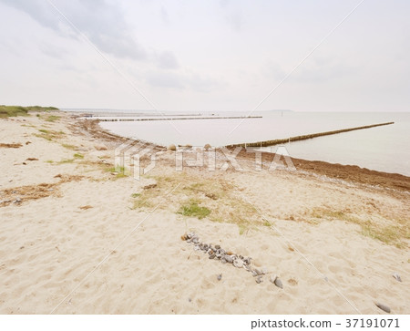 Wooden breakwaters on a shore of the Baltic Sea 37191071