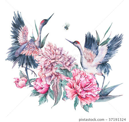 Watercolor nature card with crane and pink peonies Watercolor nature card with crane and pink peonies 37191324