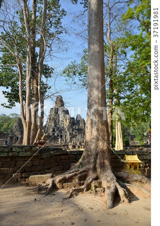 Angkor Wat  37191981