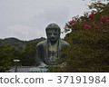 鎌倉大佛 37191984