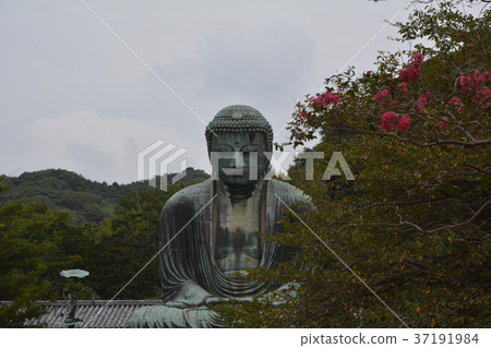 Kamakura Great Buddha 37191984