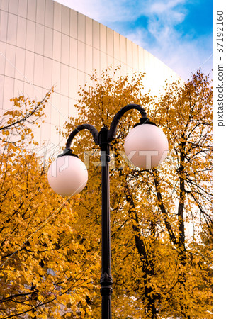 Street lamp in the park Street lamp in the park 37192160