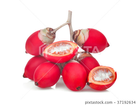 ripe betel nut fruit isolated on white background 37192634