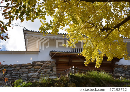 濱松城堡秋天 濱松城堡秋天 37192712