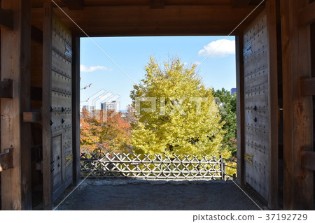 Hamamatsu Castle Fall 37192729