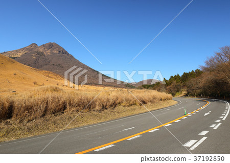 冬季湯布院禦府和九州過馬路 37192850