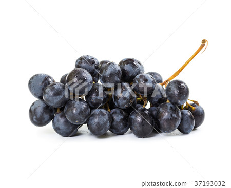Bunch of black grapes 37193032