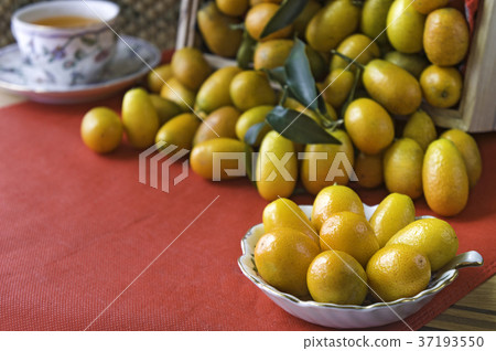 金柑 橘子 水果 37193550