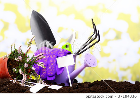 Gardening tools of shovel rake labels Gardening tools of shovel rake labels 37194330