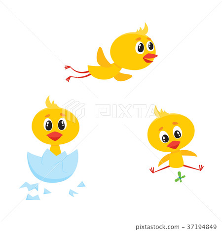 vector cartoon cute chicken characters set. vector cartoon cute chicken characters set. 37194849