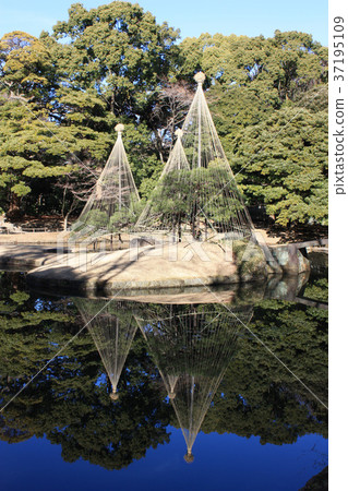 垂懸在水的表面上的雪 37195109