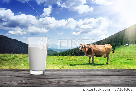 Glass of milk against mountain pasture with a cow 37196302