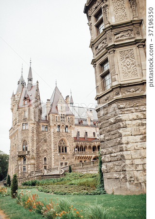old Polish castle in the village of moszna old Polish castle in the village of moszna 37196350