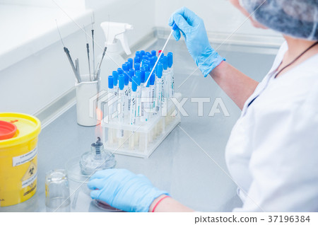 Female  researcher performs tests 37196384