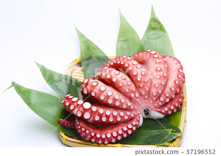 八達通食物 八達通食物 37196552