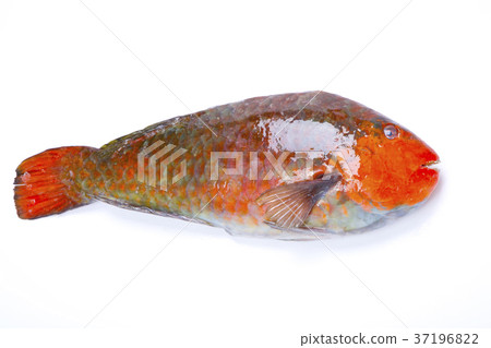 Budai ingredients 37196822