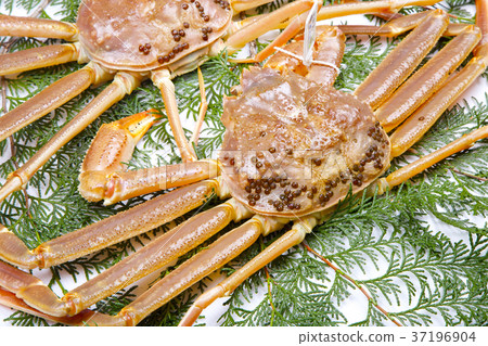 Snow crab ingredients Snow crab ingredients 37196904