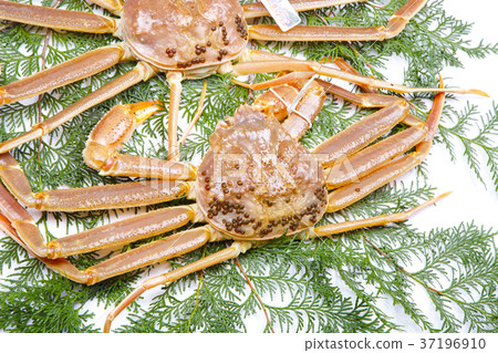 Snow crab ingredients Snow crab ingredients 37196910