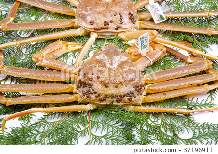 Snow crab ingredients Snow crab ingredients 37196911