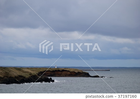 北海道根室燈塔的風景 北海道根室燈塔的風景 37197160