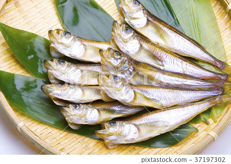 Hatahata dried food ingredients 37197302