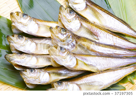 Hatahata dried food ingredients Hatahata dried food ingredients 37197305