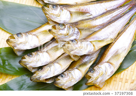 Hatahata dried food ingredients 37197308