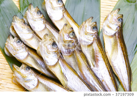 Hatahata dried food ingredients Hatahata dried food ingredients 37197309