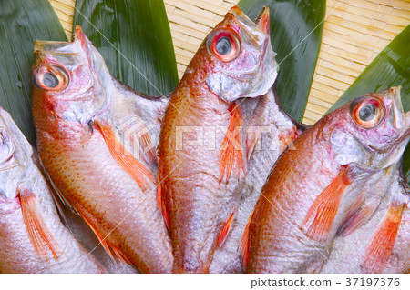 Dried fish 37197376
