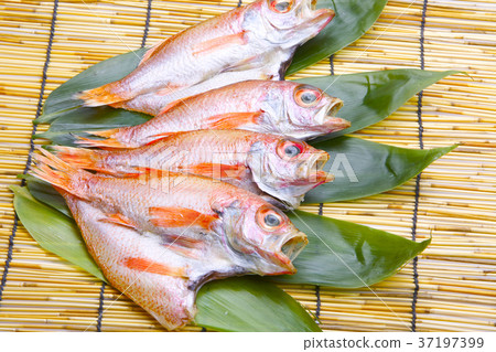 乾魚 乾魚 37197399