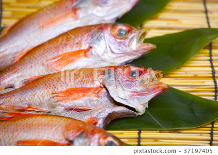Dried fish 37197405