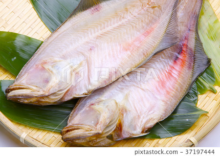 Red flounder dried food ingredients 37197444