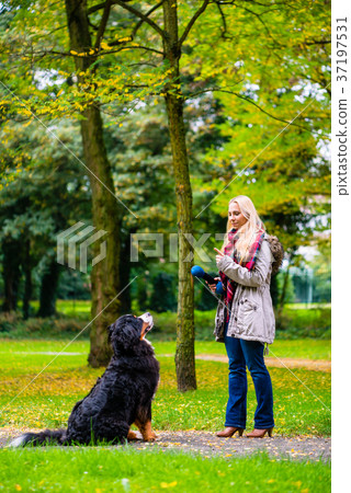 Girl in autumn park training her dog in obedience 37197531