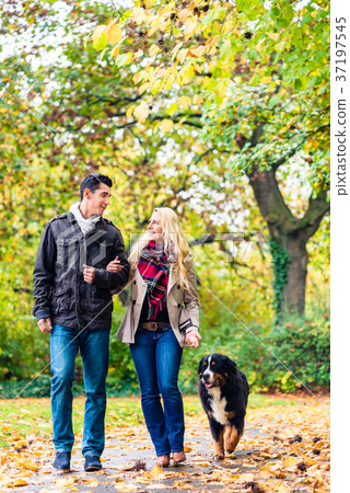 Woman and man with dog having autumn walk Woman and man with dog having autumn walk 37197545