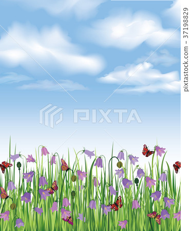 Summer landscape. Flower background. nature border Summer landscape. Flower background. nature border 37198829