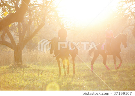 Group of rider girls walking with horses in park 37199107