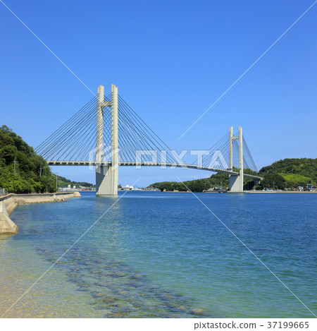 今井橋（Yumeshima Kaido） 37199665