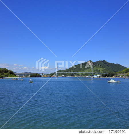 Yuge Ohashi (Yumeshima Kaido) 37199691