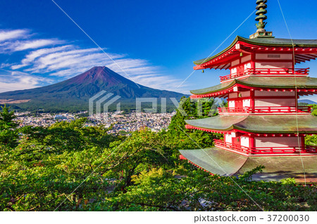 [Yamanashi Prefecture] Arakurayama Sengen Park and Mt. Fuji 37200030