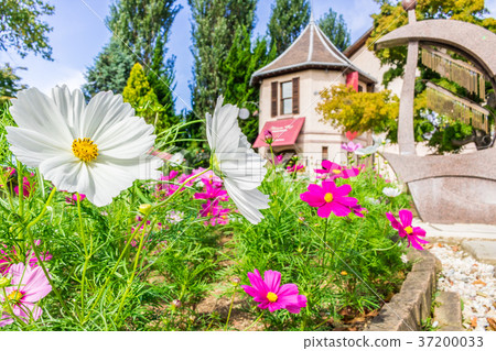 [山梨縣]河口湖八音盒森林 37200033