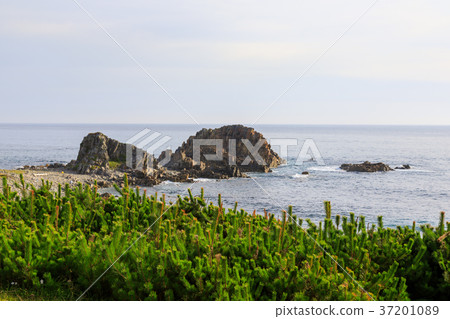 [青森縣] Shimokita Peninsula Fujiishizaki 37201089
