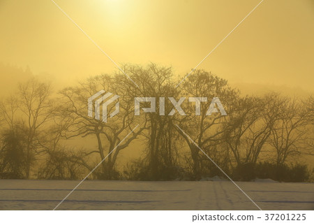 Kitakami River in winter Kitakami River in winter 37201225