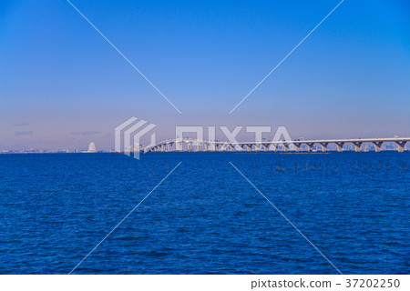 Tokyo Bay Aqua Line 37202250